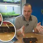 I cetrioli germogliano il terzo giorno: un metodo collaudato per